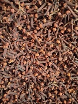 Cloves (AB06) – product photo, Mixed Spice Seeds products found from trusted suppliers, wholesalers, manufacturers & exporters Listing