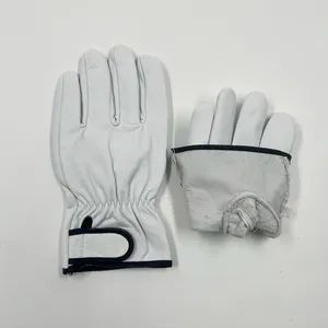 Driving Construction Safety General Purpose Goat Skin Leather Work Gloves - Guangzhou 247 International Co., Ltd - China