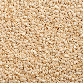 Organic Farm Grown Sesame Seed Wholesale Quantity With Careful Cleaning And Packing Sesame Seed For International Supply - AGRO AFRIQUE COMPANY LIMITED - Tanzania