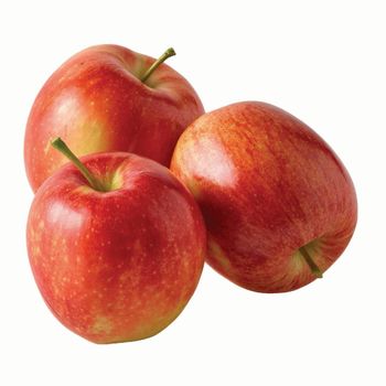Fresh Red Delicious Apple Handpicked Harvest For Food Retail Groups Fresh Produce Importers And Wholesalers - TOSOH INTERNATIONAL - South Africa