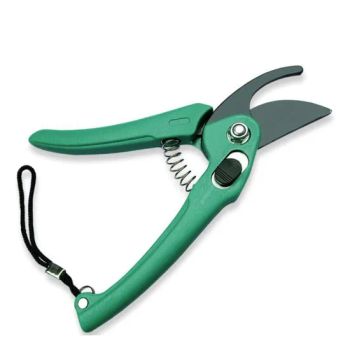 Gardening Pruning Shears Tool Hand Pruner Scissor Branch Cutter Ci15616 - Ningbo Ezfocus Co., Ltd. - China