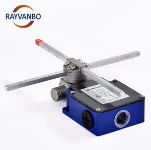Premium Industrial Limit Switch for Overhead Cranes and Lifting Equipment Safety - Wuhan Rayvanbo Import And Export Trade Co., Ltd. - China