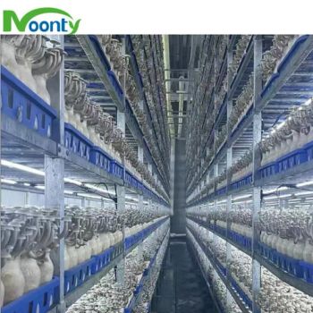 Fungus Oyster Enoki Intelligent Mushroom Growing Containers Mushroom Cultivation System - Xiamen Heseng Agricultural Technology Co.,Ltd - China