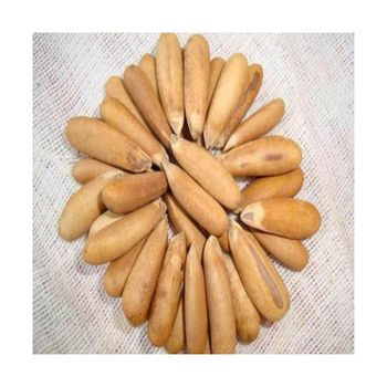 Organic pine nuts available for wholesale sale perfect for retailers and health food suppliers - AMAC GOLD AND DIAMOND METALS SUPPLIER - Germany