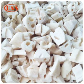 Wholesale Factory Price IQF Frozen Vegetable Lotus Root Slices/ Dices/ Cut - QINGDAO DEESHENGHENGXIN FOOD CO., LTD. - China