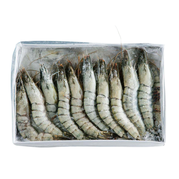Frozen Shrimp High Quality IQF Frozen Raw Black Tiger Prawn Wholesale Seafood - NUTRIDIET LDA - United Kingdom