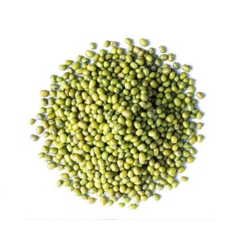 Top Food Grade Natural Best Quality Product Exported Bulk Style Custom Packing Wholesale Dried Green Mung Beans From Bangladesh - BEST TRADE CORPORATION - Bangladesh