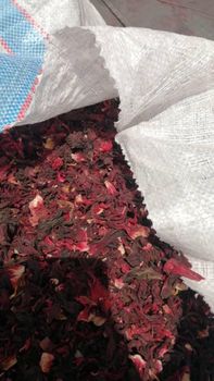 DRIED HIBISCUS FLOWER - BUBU XIX NIG LTD - Nigeria