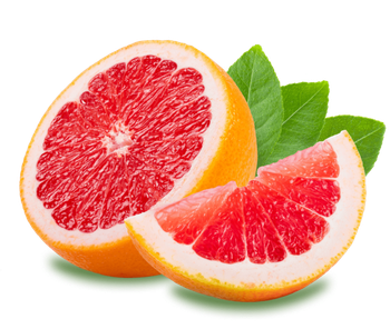 High quality grapefruit bulk supply factory price fast delivery - Mundus Exports Pty Ltd - South Africa
