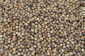 Ethiopian Coriander Seed Purity 98% Minimum Moisture Content 9-11% Max Net Weight 25kg Or 50kg Per Bag (buyer Select) Crop Year And Freshness Latest Harvest, Single - future export - Ethiopia