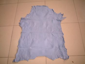 Raw And Wet Blue Goat And Sheep Leather Skin Condition Wet Blue Skin Source Goat And - Sayeed Akhtar Javed Akhtar & Company - India