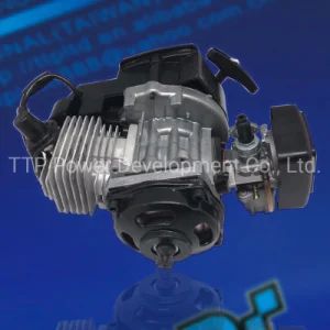 Air Cooled Pull Starting Motorcycle Engine Assembly 49/50cc Pocket Bike - TTP Power Development Co., Ltd. - China