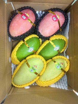 Elephant Mango - Phuong Ngoc Cai Be Limited Liability Company - Vietnam