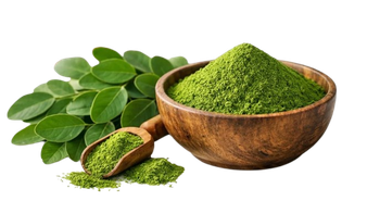 Moringa Powder - Elevate International - India
