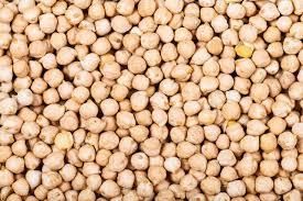 Export quality Farm fresh  lentils   chick peas - Sitco India - India