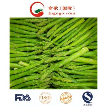 China GOGO IQF Frozen Asparagus 6-16mm Plastic Carton Brc FDA HACCP ISO 12M Shelf MOQ100 18D - Jinan Gogo International Trade Co., Ltd. - China
