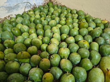 Coconut, copra, Coconut shell, Organic coconut, red Banana, Mango, Guava - Arasi farm - India