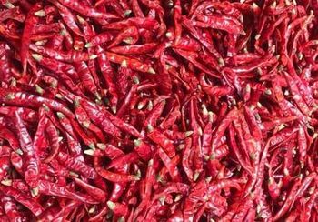 red chilli from Anupam red chilli - Anupam - India