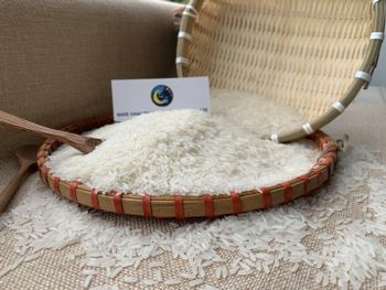 Vietnam Best Exporter Jasmine White Rice Cheap Price Long Grain Fragrant White Rice 5% 25% Broken – product photo, White Rice Flour products found from trusted suppliers, wholesalers, manufacturers & exporters Listing