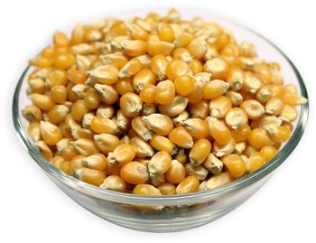 yellow seed popcorn non-gmo best popcorn popping corn raw maize seeds organic popping corn for sale - GOLDEN STAR BV - South Africa