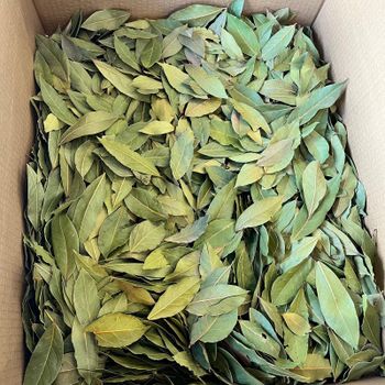 BAY LEAVES Type LAUREL LEAVES Ingredients BAY LEAVES Manufacturer BAY LEAVES / - Cömert Agriculture Co. - Turkey