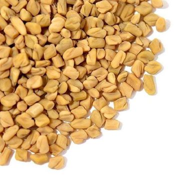 Export Grade Fenugreek Seeds in Bulk – Cleaned, Sun-Dried, and Machine-Sorted Premium Spice for Food Processing, Herbal Formulations, and Agricultural Supply Chains, Offering Strong Aroma, High Nutritional Value, Long Shelf Life, and Consistent Quality Suitable for Wholesale Buyers, International Traders, and Manufacturing Industries Seeking Reliable Raw Material Supply with competitive pricing and global shipping support - agroturaspzoo - Poland