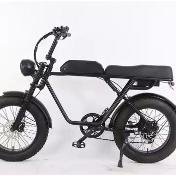 Super Style 48V 500W Motor Two Seat Fat Tire Electric Bike Bicycle - Xingtai Songman Technology Co., Ltd - China