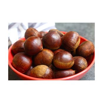 Fresh Chestnut/High Quality Fresh Chestnut/Fresh Peeled  - GOLDEN STAR BV - South Africa