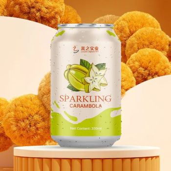 Best Quality Carbonated Drink All Size Available 500ml Carbonated Fruit Drinks in Cans - Shandong Gaotang JBS Bioengineering Co., Ltd. - China