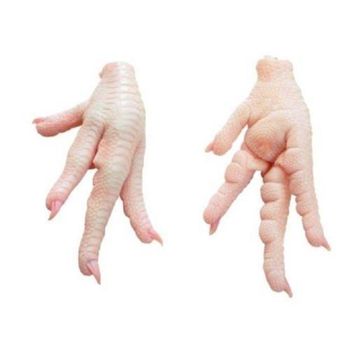 High Quality Organic Grade a Brazilian Frozen Chicken Feet/Paws with Vitamins & BQF Process-Bulk Supply - CPW TRADE LTD - United Kingdom