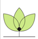 Product - RDF CO., LTD - Vietnam