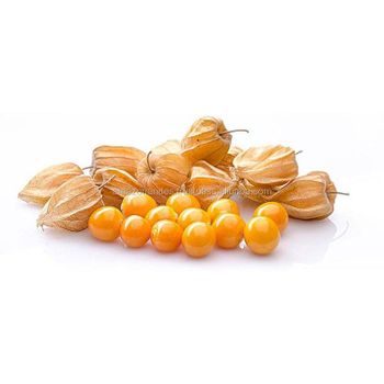 Golden Berries Dried Physalis Peruviana Available For Bulk Supply - AMAZON ANDES EXPORT S.A.C. - Peru