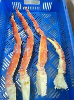 frozen pre cooked red king crab SINGLE legs Hs Code 160510000 Certification yes Size L5(1400grams) Technique pre cooked Weight (kg) kilogram - TTK - Russian Federation
