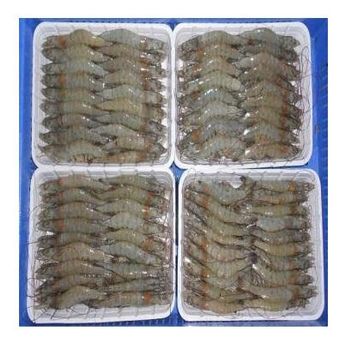 Frozen Vannamei Shrimp for Sale - 100% Export Quality - Exigentelaxia Unipessoal Lda - Portugal
