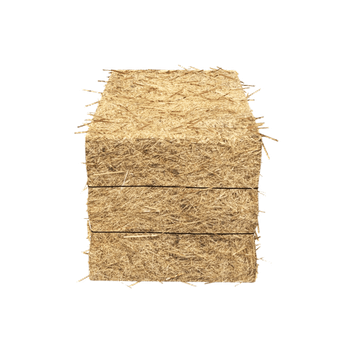 Wheat Straw from Cheema Exim Wheat Straw - Cheema Exim - Pakistan