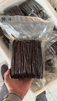 Vanilla Planifolia Grade A, Size 18 cm up, Black/Dark/Brown Colour, Moist 20%-30%, Vanilla content 0.8% - 2%. from PT Salsabila Bumi Resouurces Vanilla Planifolia Grade A, Size 18 cm up, Black/Dark/Brown Colour, Moist 20%-30%, Vanilla content 0.8% - 2%. - PT Salsabila Bumi Resouurces - Indonesia