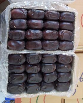 Mazafti date – product photo, Date products found from trusted suppliers, wholesalers, manufacturers & exporters Listing