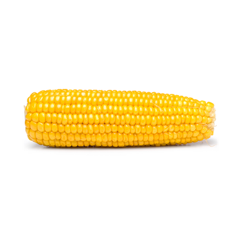 Bulk yellow corn offered for food processing and animal feed industries - HIGHPROFILE AGRICULTURE SERVICES LIMITED - Tanzania