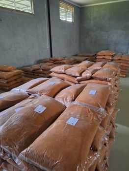 Organic Coconut Sugar - Arunika Amerta Global - Indonesia