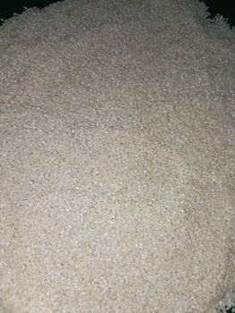 sesame seed – product photo, Raw Sesame Seeds products found from trusted suppliers, wholesalers, manufacturers & exporters Listing