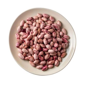 Sugar Beans With Excellent Texture And Taste For Cooking Catering And Commercial Food Applications - THE GREEN INTERNATIONAL LIMITED - Tanzania