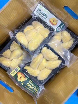 Frozen Durian - TROPIVINA DAKLAK JSC - Vietnam
