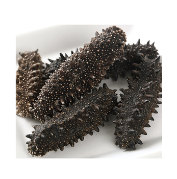 Wholesale Cheap Price Best Quality Dried Sea Cucumber For Sale Worldwide Exports - Exigentelaxia Unipessoal Lda - Portugal
