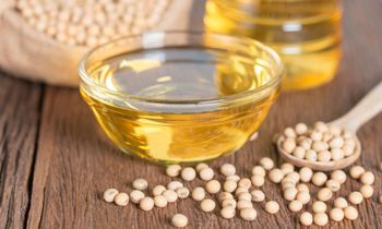 Premium Soybean oil Best quality Soybean oil Cheap quality soybeans oil - BF GLOBAL TRADING (PTY) LTD - South Africa