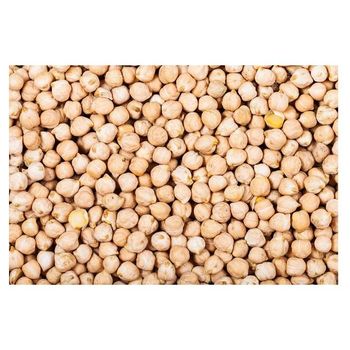 Non-GMO Large Size Highest Grade Bulk 20-50 kg 8-10 mm Chickpeas From Portugal Natural Chick Peas for Food - Exigentelaxia Unipessoal Lda - Portugal