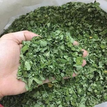 Moringa leaves - Khirat Baladna KB for import & export - Egypt