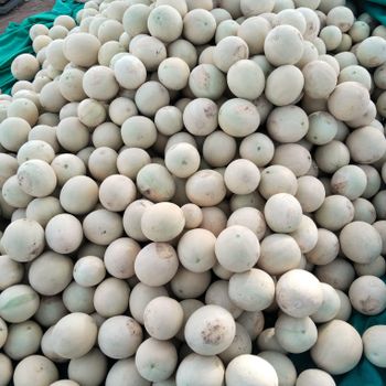 A-grade Muskmelon - Oval Shaped Sweet And Juicy Organic Fresh Green Muskmelon - Arkay Organics - India