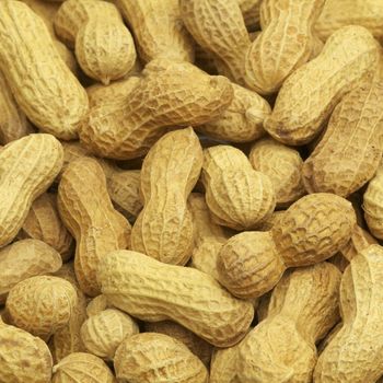 Peanuts Premium Harvest Selection Delivering Strong Kernel Quality For Import Export And Wholesale - TOSOH INTERNATIONAL - South Africa