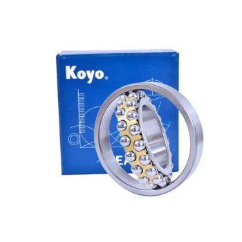 NSK NTN IKO Koyo NACHI Bdl Self Aligning Ball Bearings 2205 2205tni for Sugar and Other Industries and General Machinery. - Shandong Shunwei Bearing Co., Ltd. - China