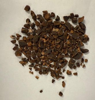 Dried Kola Nut - AgroVentia Inc. - Canada